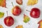 Crabapples and autumn leaves on a white background