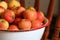 Crabapples in a bowl