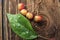 Crabapples and water drops on leaf.