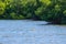 Crabbing buoy floating on Long Bayou amongst mangrove forest