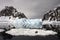 Crabeater Seal - Antarctica