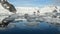 Crabeater seals Lobodon carcinophaga on ice floe in Plenau Bay Antarctic Peninsula
