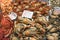 Crabs and other crustaceans for sale