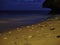 Crabs on the sandy beach at night