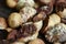 Crack Dried Betel Nut on weaving tray, close up selective focus