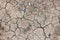 Crack dried soil background.