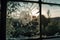 crack on glass window with view of peaceful scene