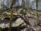 Crack in the Rock trail, Van Buren, Arkansas, rocks along the trail