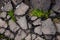 Cracke asphalt background