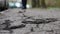 Cracked asphalt in the city, cracks and potholes on the road, a person passes by, the lower point of the shooting, the horizon