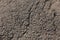 The cracked asphalt. Craquelure. The texture of the asphalt