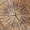 Cracked background wooden many dashes slept pine weathered old surface close-up base natural