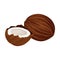 Cracked Coconut with Hard Shell and Fibrous Husk Showing White Inner Flesh Vector Illustration