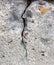 Cracked concrete