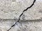 Cracked concrete