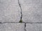 Cracked Concrete, degraded with a weeds growing through