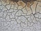 Cracked crust of dried silt. Global warming. Background image