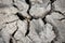 Cracked drought ground surface background. Disaster concept
