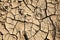 Cracked earth background. Parched Earth. Soil sonservation erosion.