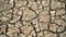 Cracked earth in dry desert. Desert with cracked ground. background, texture, The surface of the arid soil, and there are fissures