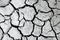 cracked earth. saline, salt-marsh. texture