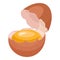 Cracked egg icon cartoon vector. Broken eggshell