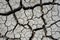 cracked floor of dry river where sludge was. Representation of a period of severe drought.