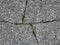 Cracked gray concrete old ground tile with pieces of grass rough texture background