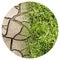 Cracked ground and green meadow - climate change concept image - Round icon concept image - Photography in a circle