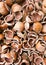 cracked hazelnut shells background, top view image of