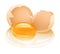 Cracked hen\'s egg food with yolk and albumen