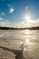 Cracked ice melts under the sun on a forest lake. Spring landscape with forest pond during sun down