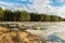 Cracked ice melts under the sun on a forest lake. Swampy forest area with yellow dry grass. Spring landscape with forest pond