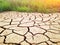 Cracked land during a drought, near lush green vegetation of grass and flowers. Contrast in nature. Concept of life and death