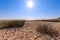 Cracked land, scanty vegetation, blue sky and bright sun as a symbol of drought