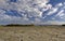 Cracked mud and saline flats of The Camargue