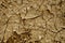 Cracked natural soil background