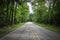 A cracked ountry road curves through the forest