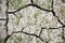 Cracked and Parched Dry Land in Drought