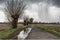 Cracked pathway with a puddle in the middle of a green field surrounded by bare trees