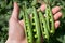 Cracked Pea Pods