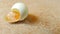 A cracked quail bird egg.