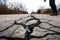 cracked road with person inspecting damage