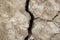 Cracked rough dried earth background in drought with copy space