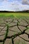 Cracked soil in a dried paddy field