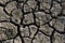 Cracked soil from drought, sun and wind with vegetation clinging to life Close-up