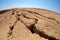 Cracked soil in Negev desert.