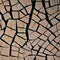 A cracked and splintered texture with broken wood and shattered pottery3, Generative AI