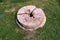 Cracked stone millstone lies on the grass of the yard