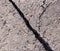 Cracked tarmac